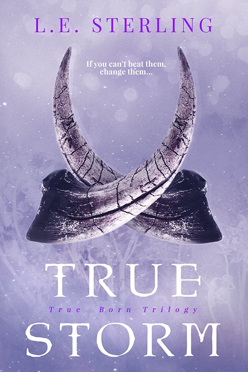 Cover of True Storm