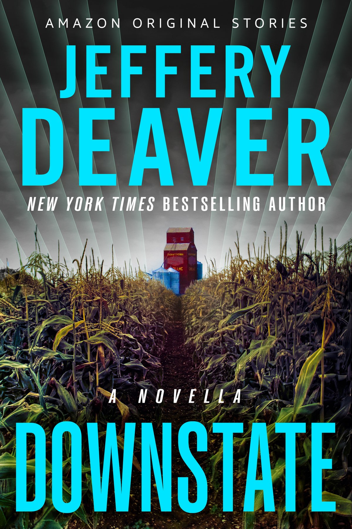 Cover of Downstate: A Novella