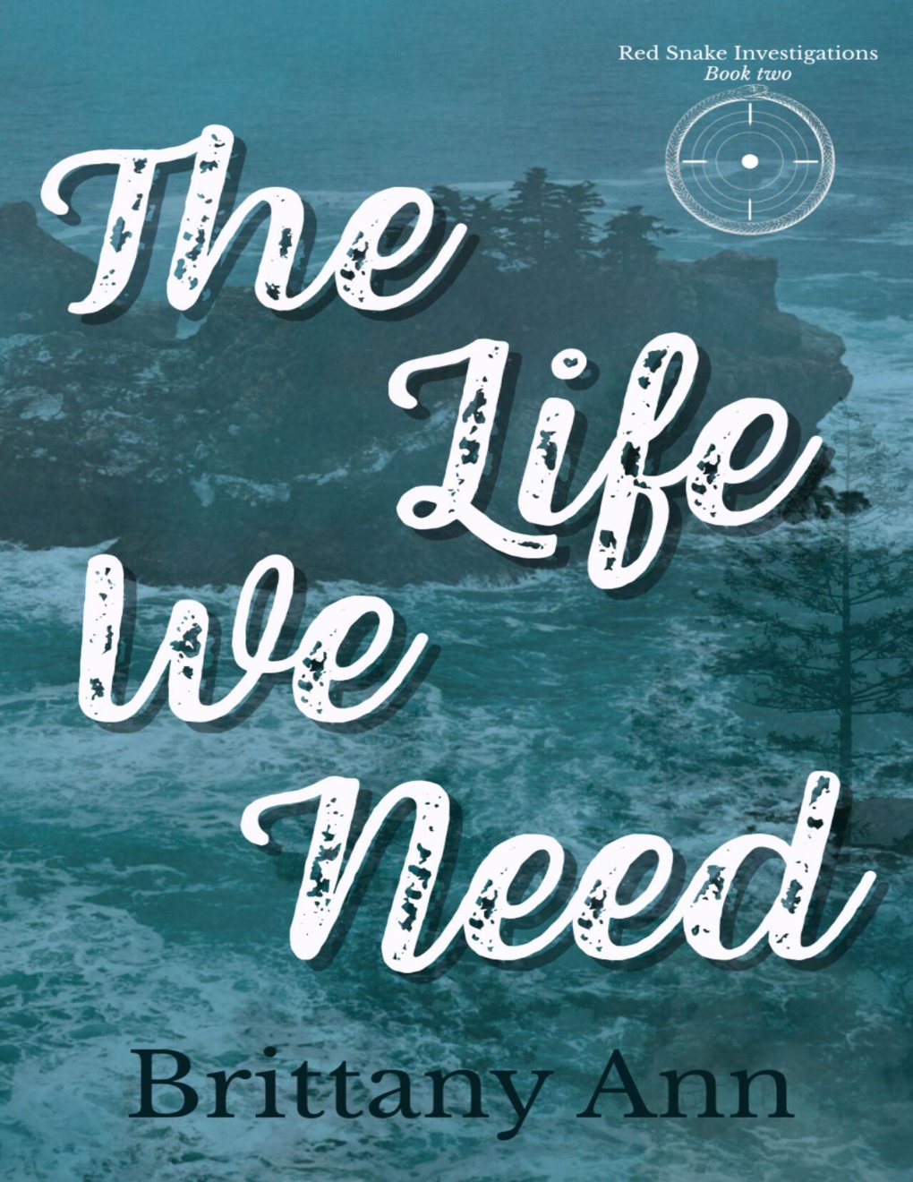 Cover of The Life We Need (Red Snake Investigations Series Book 2)
