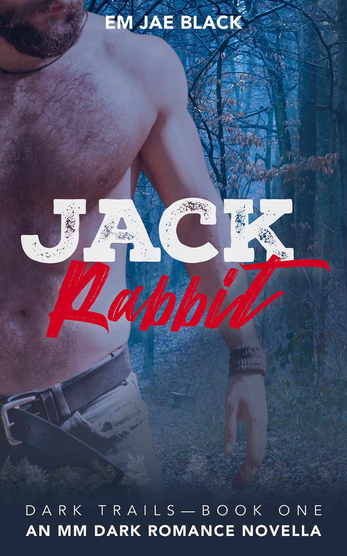 Cover of Jack Rabbit- An MM Dark Romance Novella (2024)