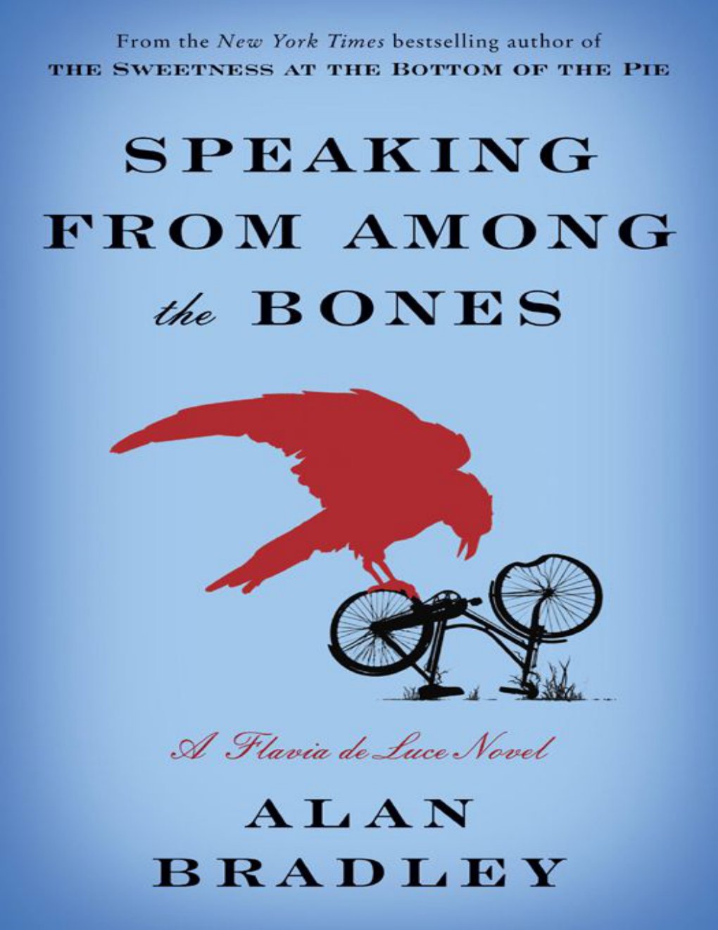 Cover of Speaking From Among The Bones