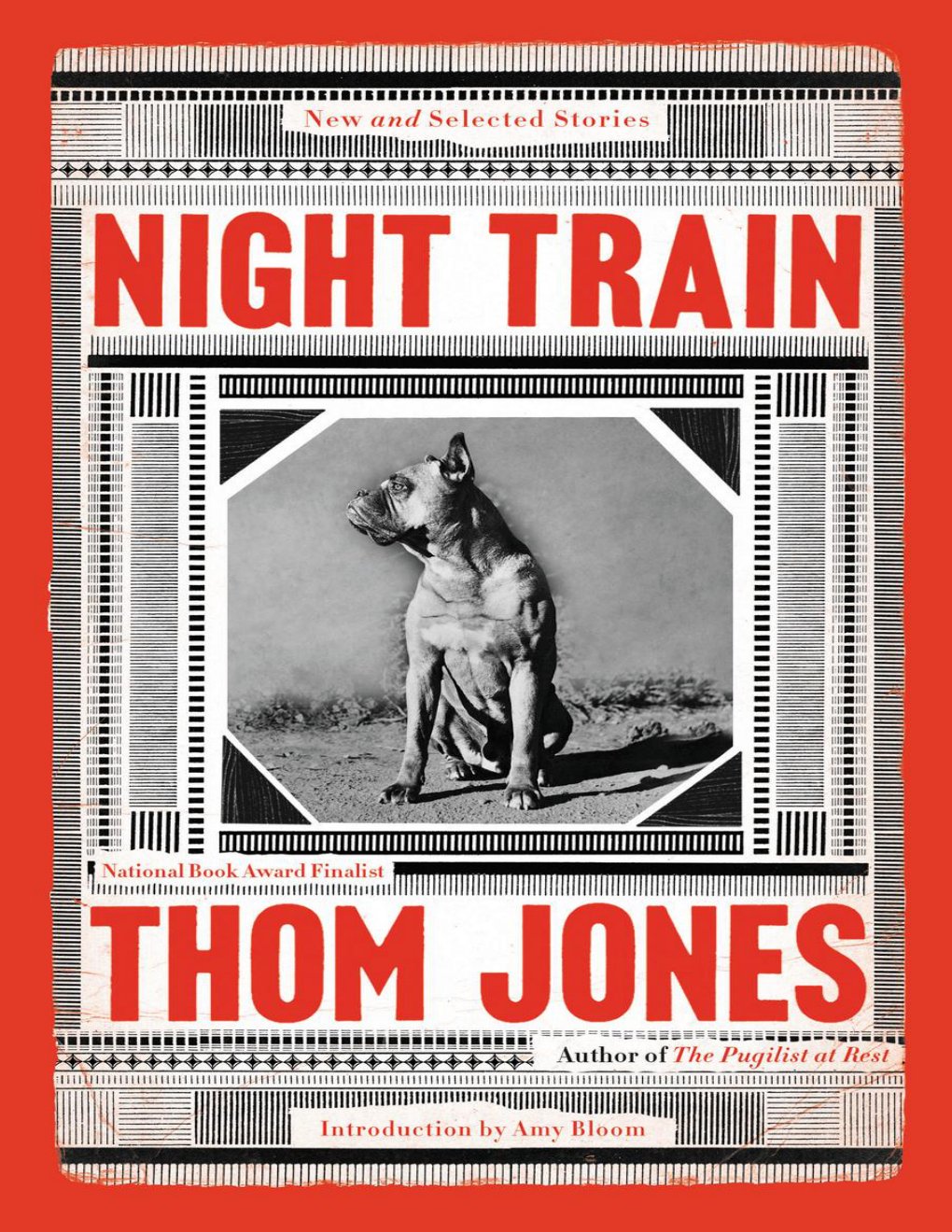 Cover of Night Train