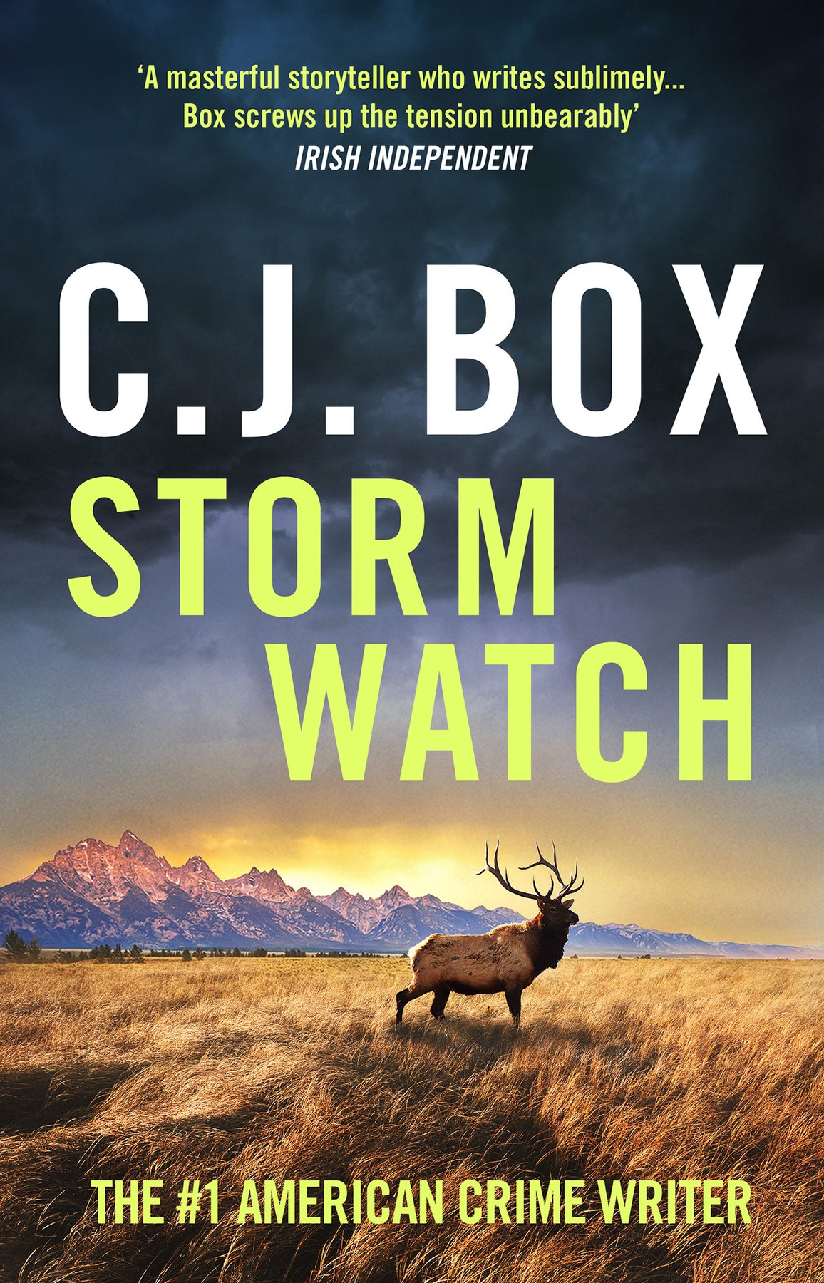 Cover of Storm Watch