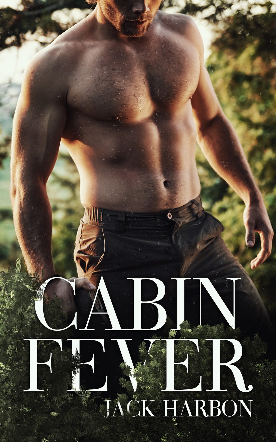 Cover of Cabin Fever