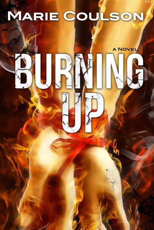 Cover of Burning Up