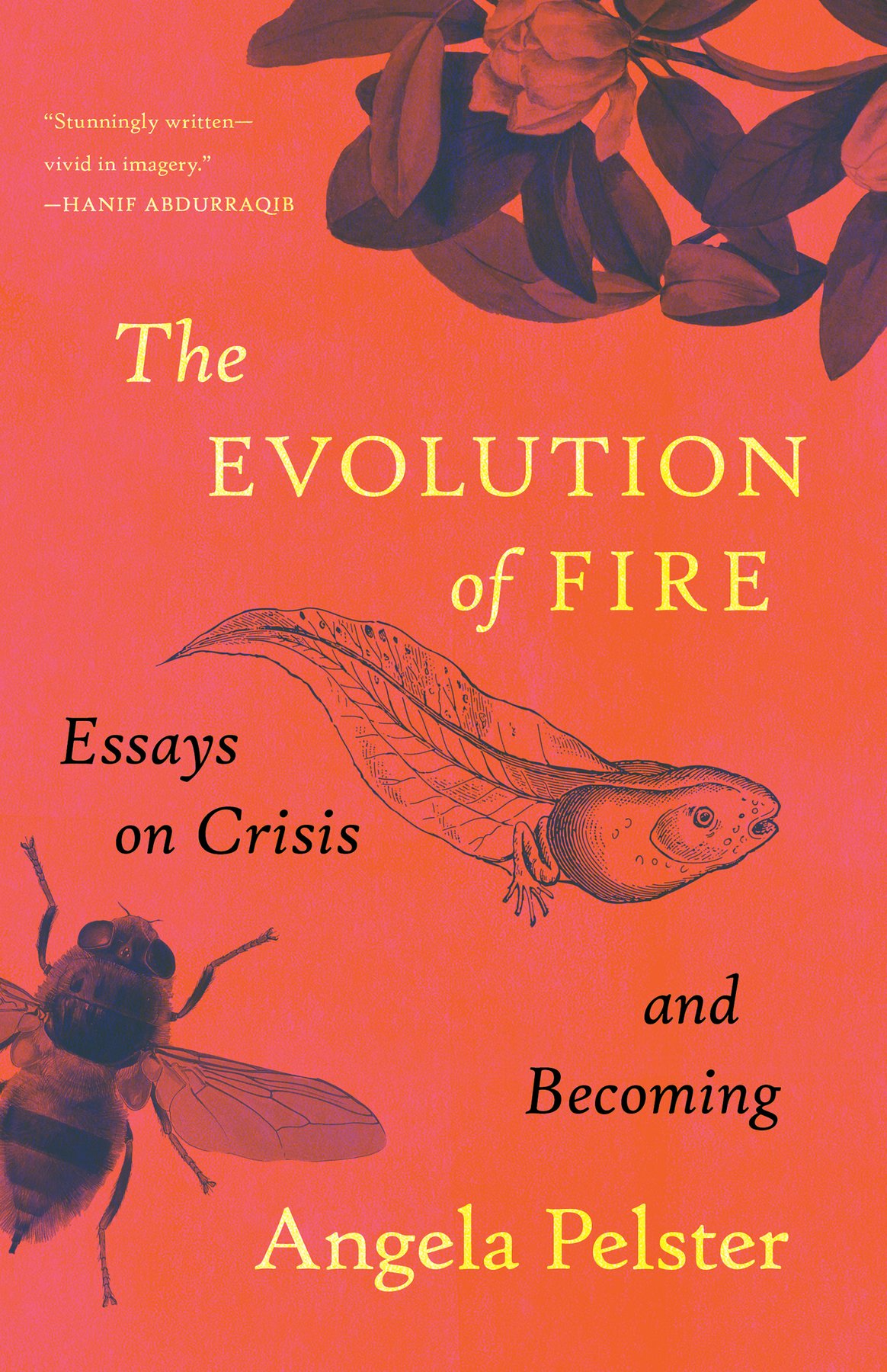 Cover of The Evolution of Fire (1975)