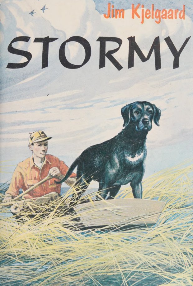 Cover of Stormy