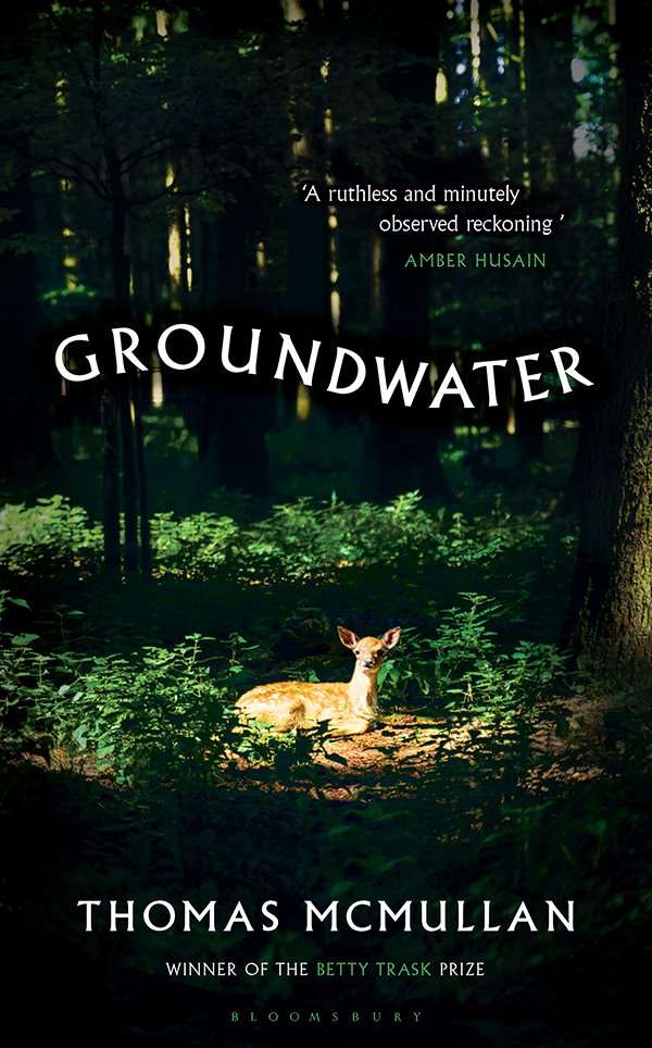 Cover of Groundwater