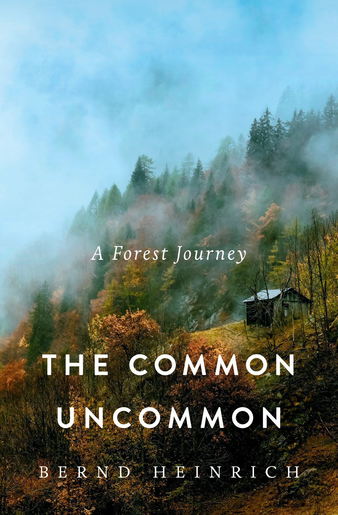 Cover of The Common Uncommon