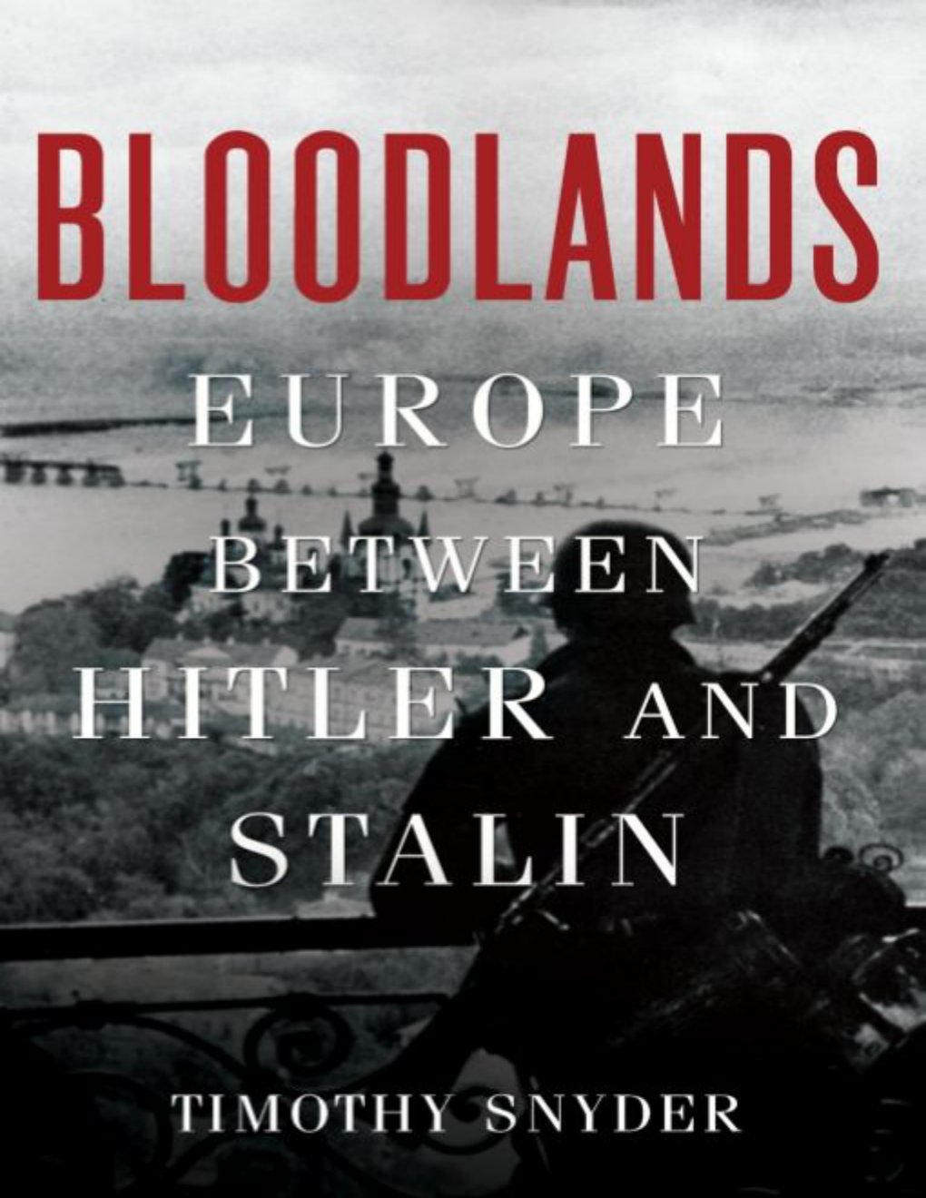 Cover of Bloodlands (1879)