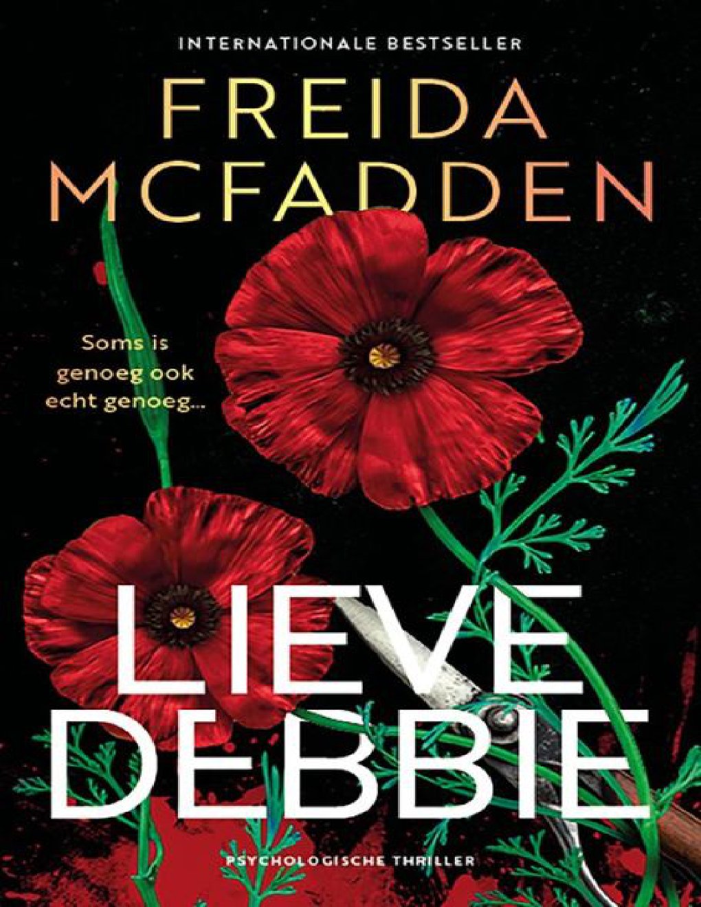 Cover of Lieve Debbie (2026)