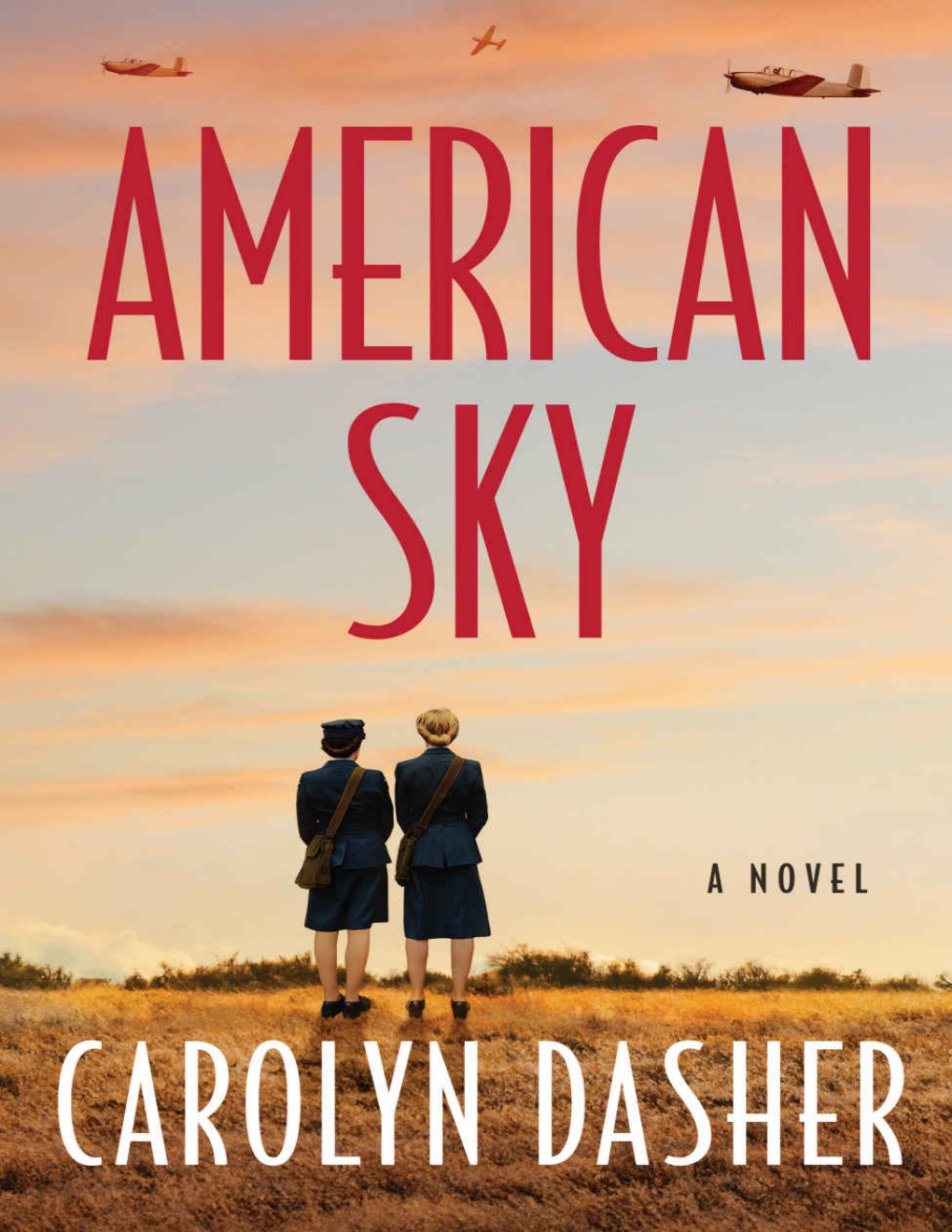 Cover of American Sky: A Novel