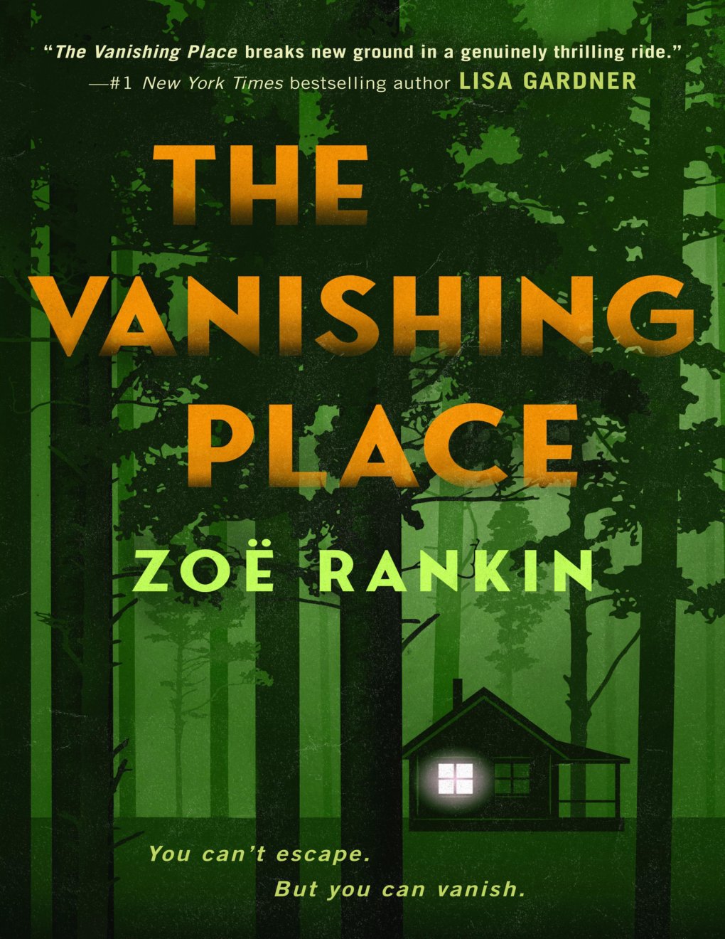 Cover of The Vanishing Place