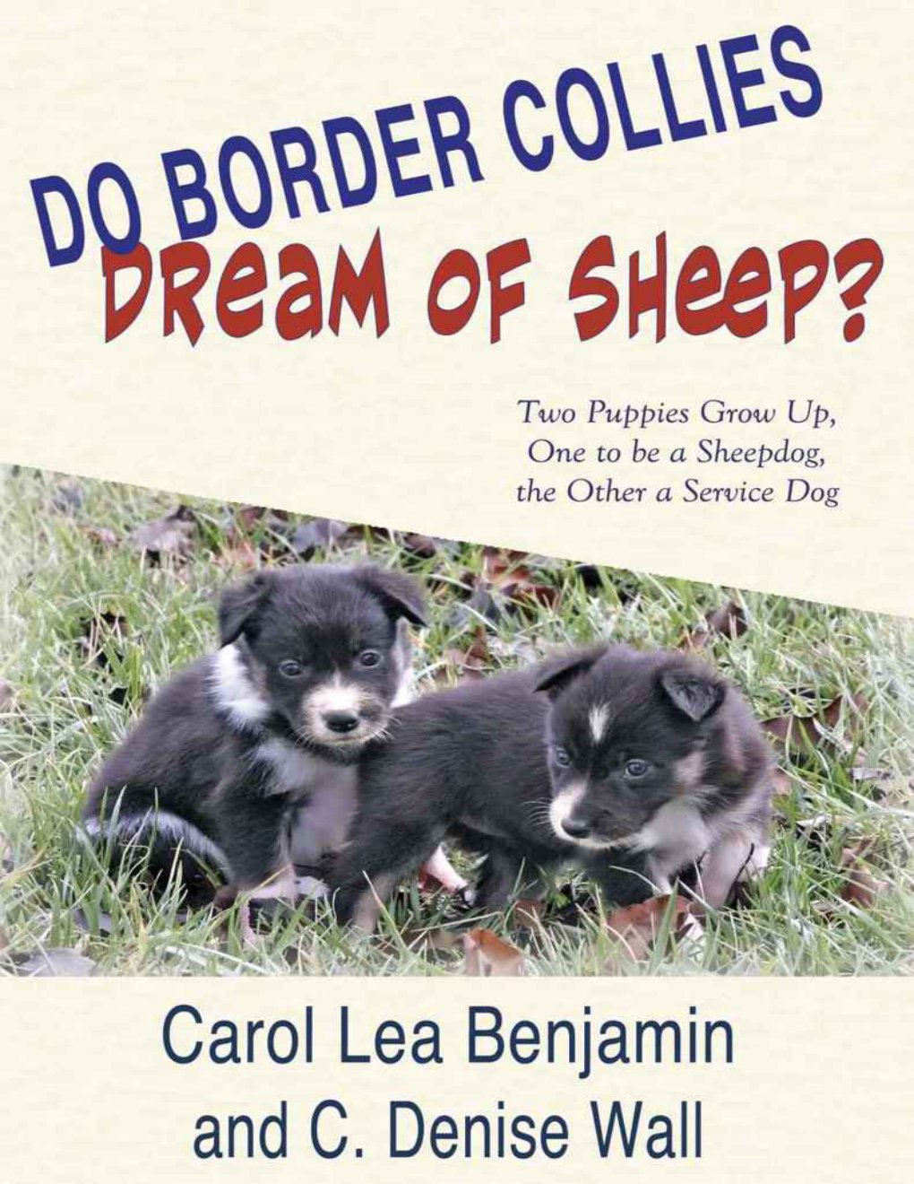 Cover of Do Border Collies Dream of Sheep?