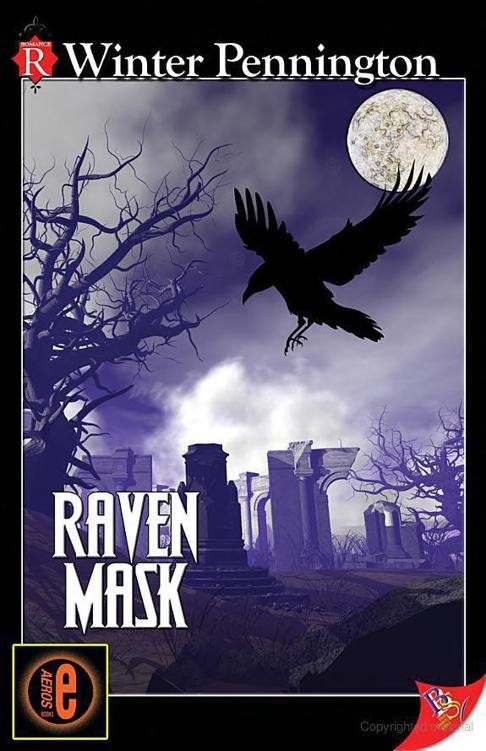 Cover of Raven Mask