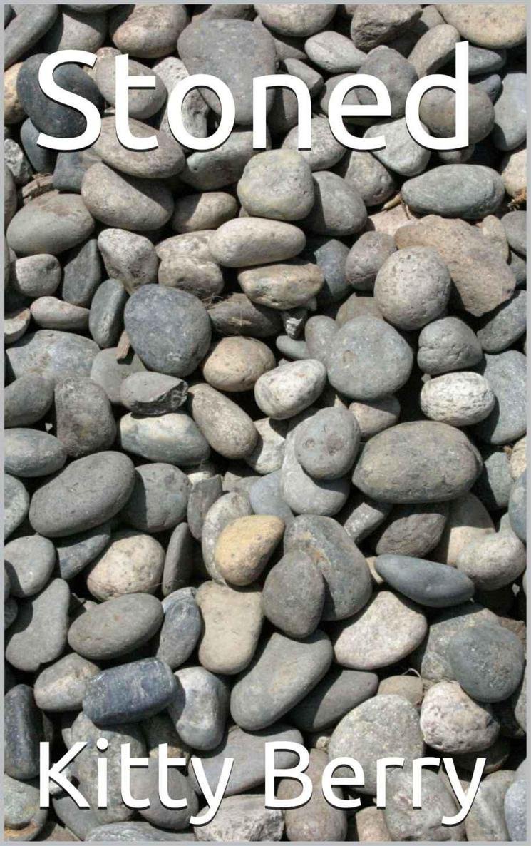 Cover of Stoned (The Stone Series)