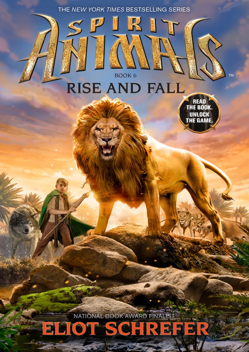 Cover of Rise and Fall
