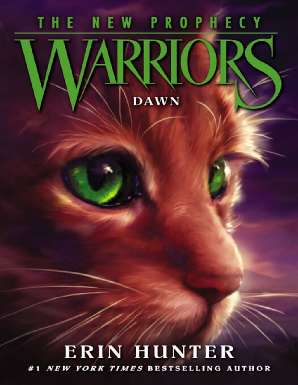 Cover of Dawn