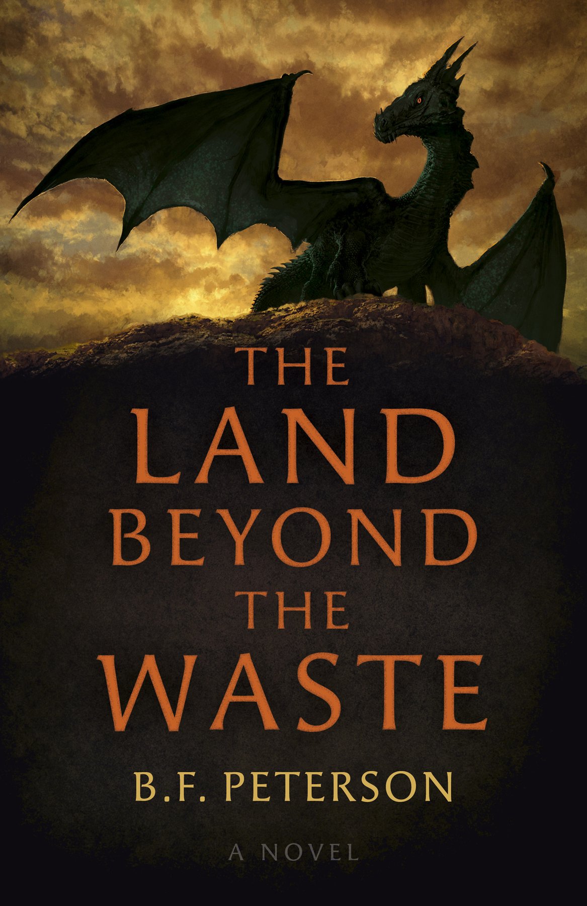 Cover of The Land Beyond the Waste (1988)