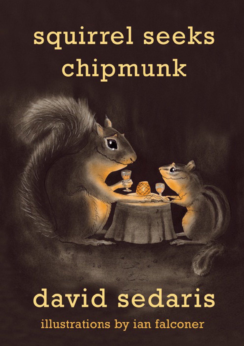 Cover of Squirrel Seeks Chipmunk (2010)