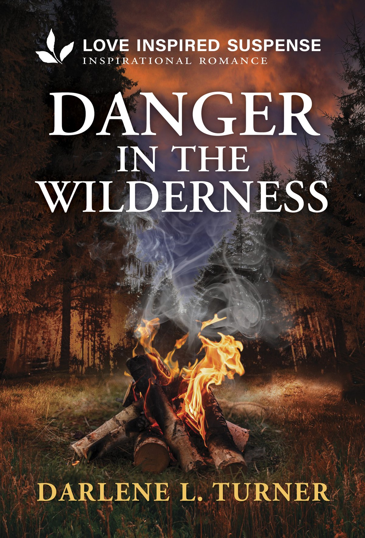 Cover of Danger in the Wilderness