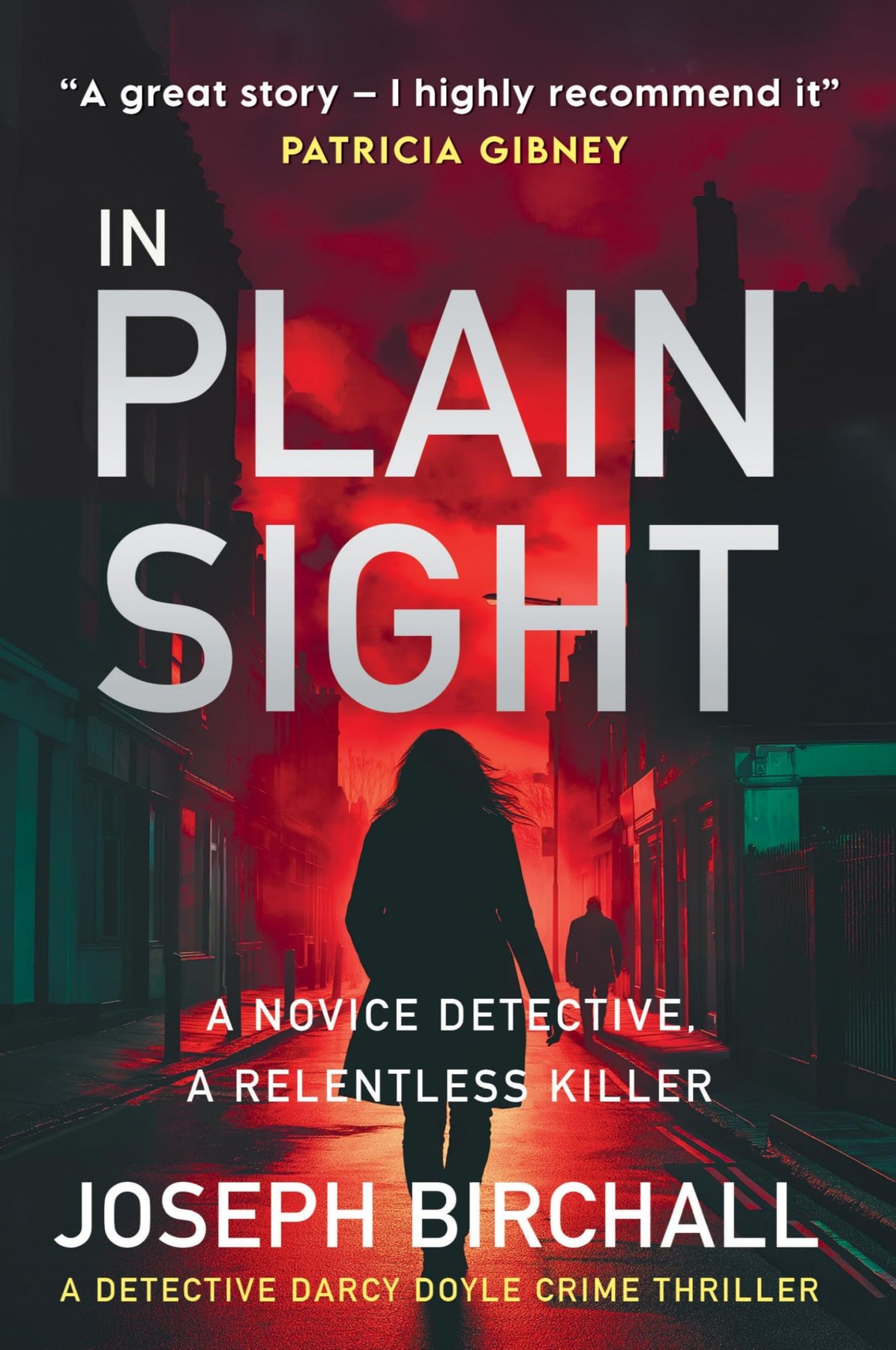 Cover of In Plain Sight: A Dark and Atmospheric Irish Murder Mystery That Will Keep You Guessing