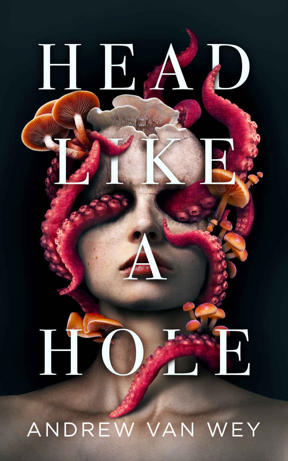 Cover of Head Like a Hole: a novel of horror