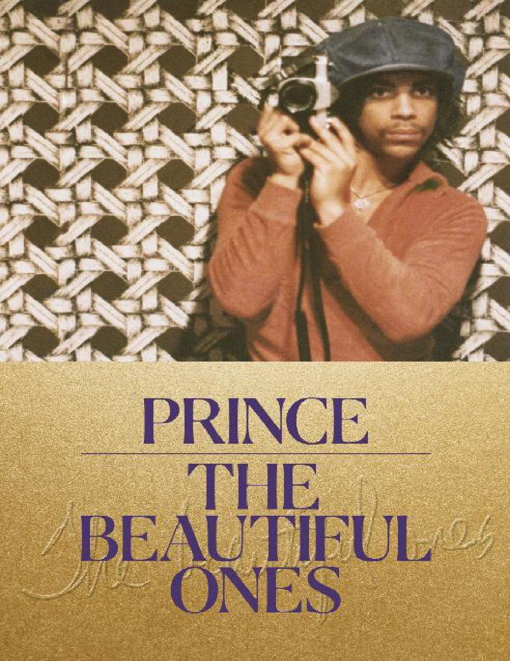 Cover of The Beautiful Ones