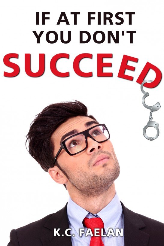 Cover of If At First You Don't Succeed (2014)