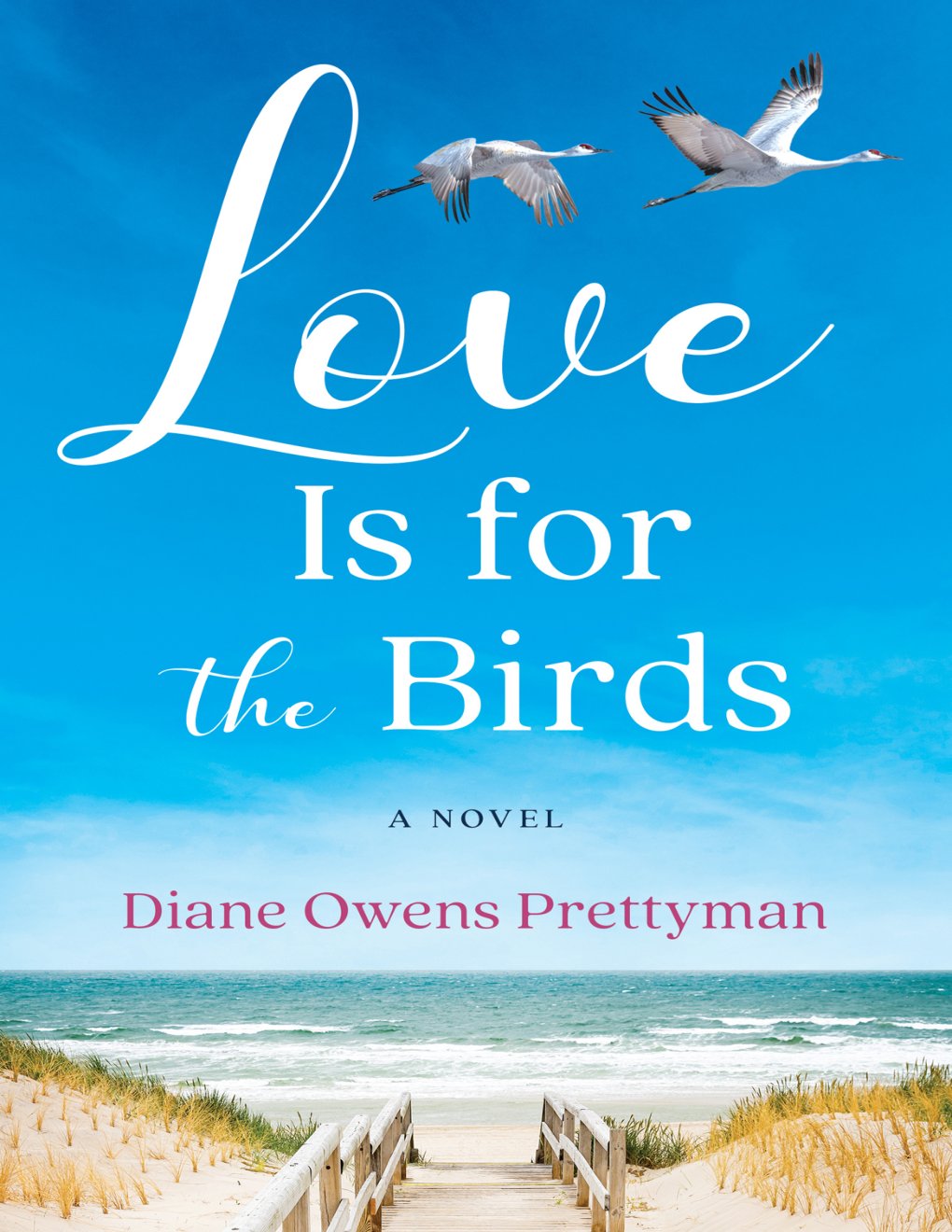 Cover of Love Is for the Birds