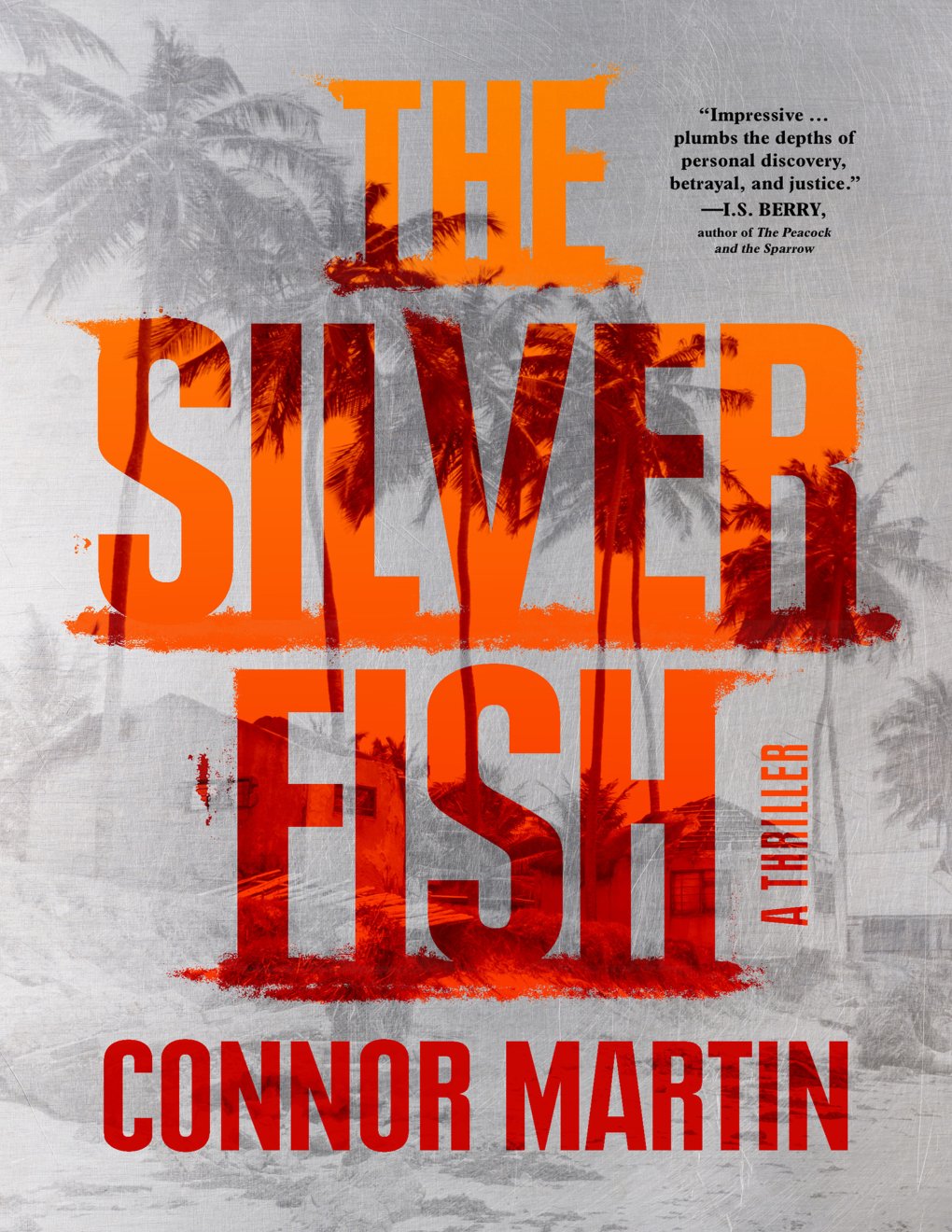 Cover of The Silver Fish