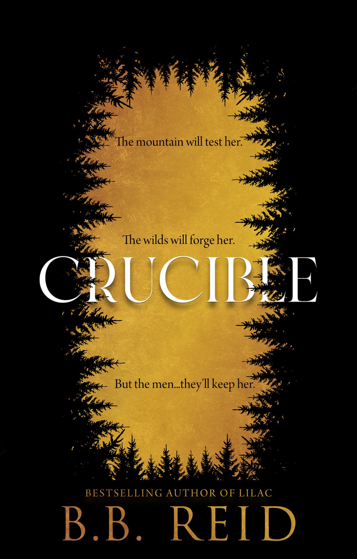 Cover of Crucible: A Dark Enemies-to-Lovers Romance