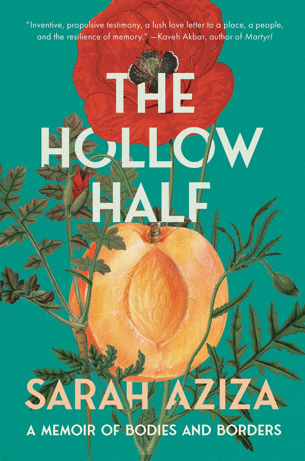Cover of The Hollow Half (1969)