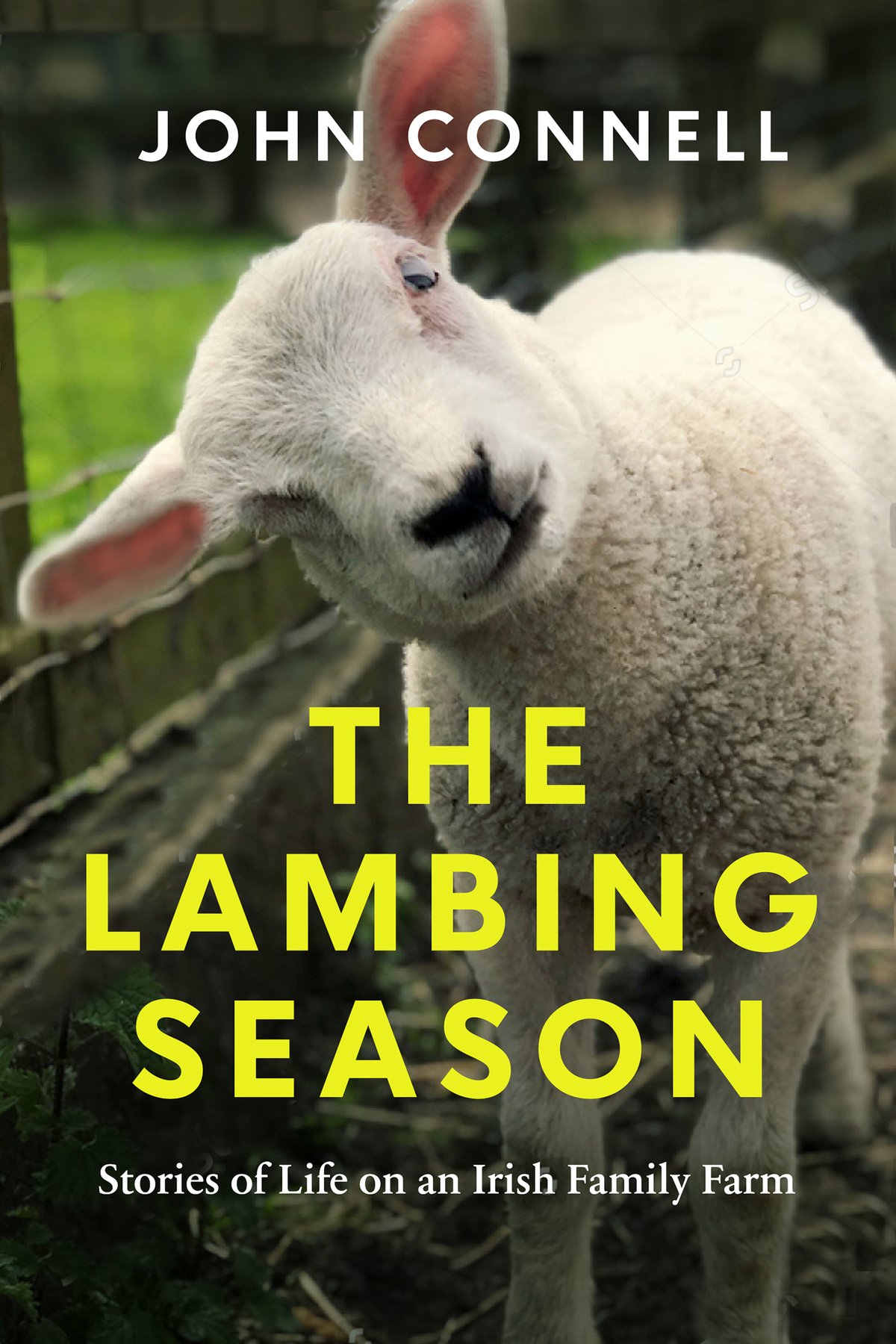 Cover of The Lambing Season
