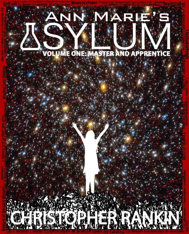 Cover of Ann Marie's Asylum (2013)