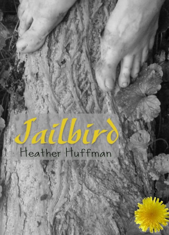 Cover of Jailbird