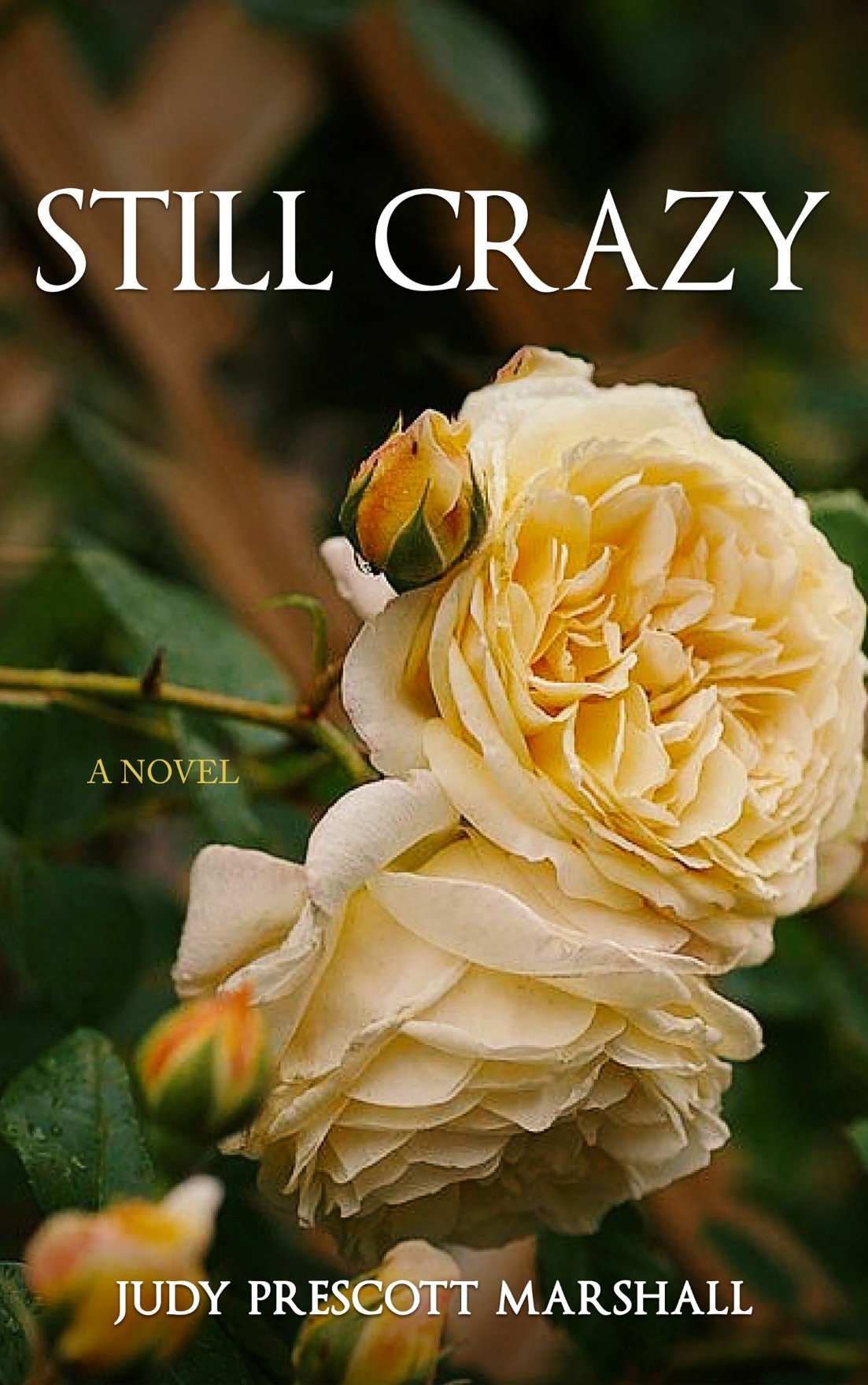 Cover of Still Crazy