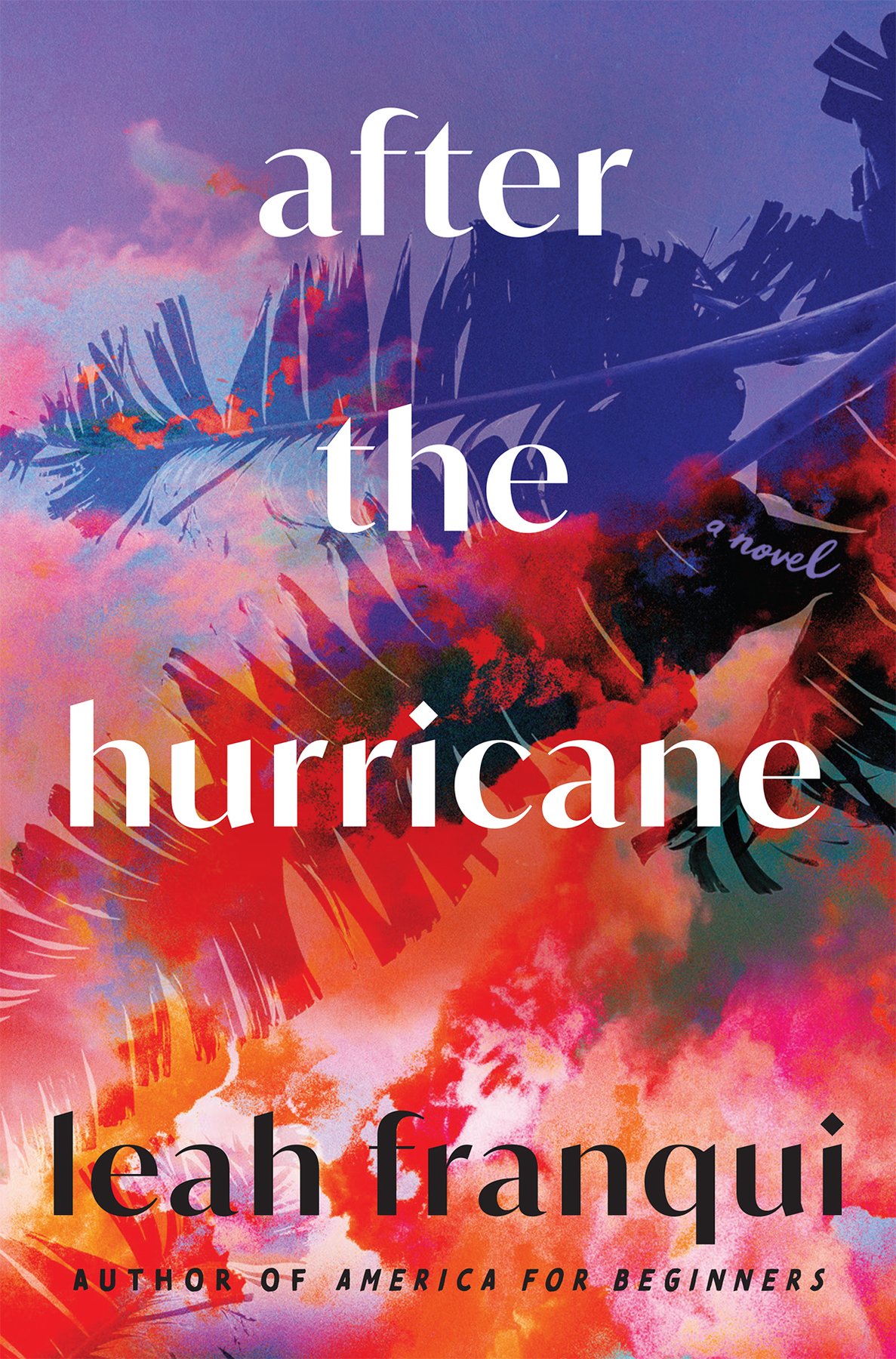 Cover of After the Hurricane