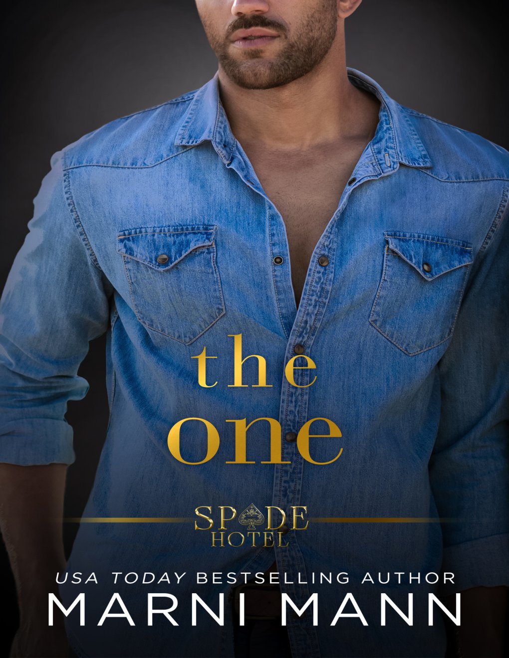 Cover of The One (Spade Hotel Series Book 5)