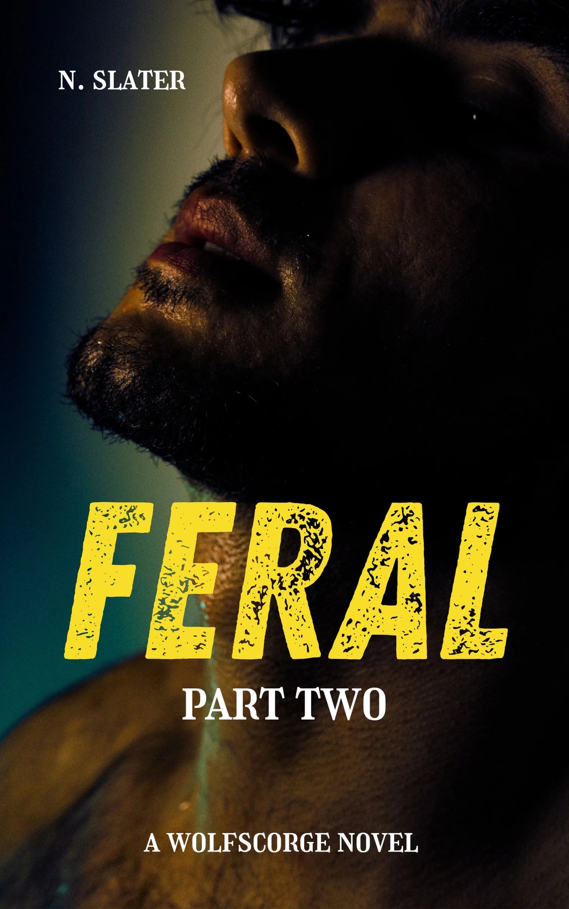Cover of Feral: Part Two (Wolfscorge Book 2)