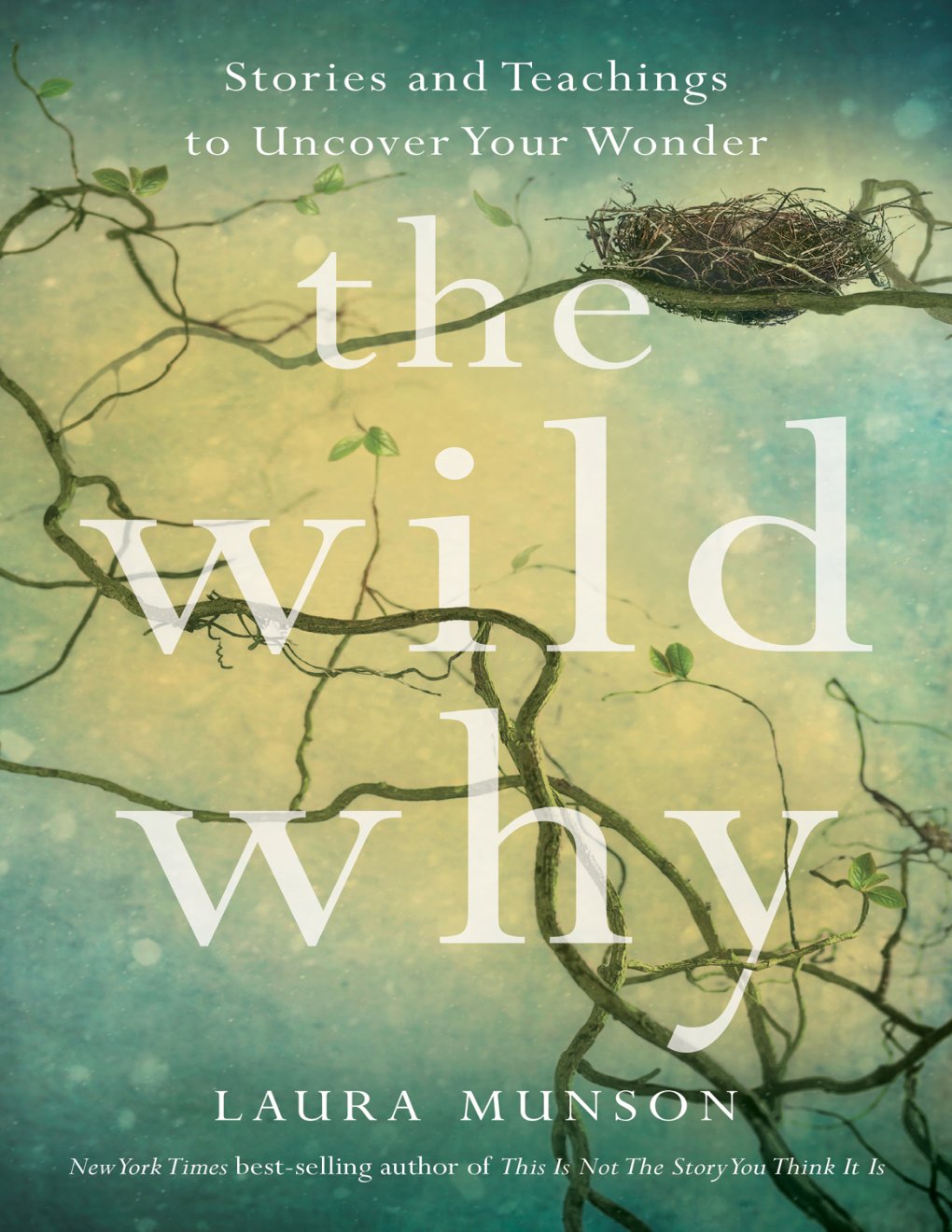 Cover of The Wild Why