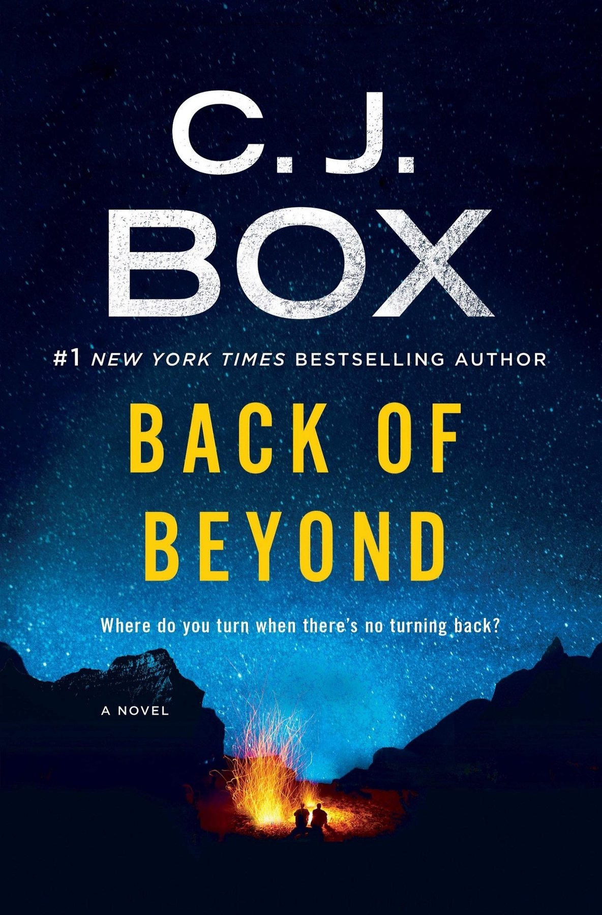 Cover of Back of Beyond: A Novel