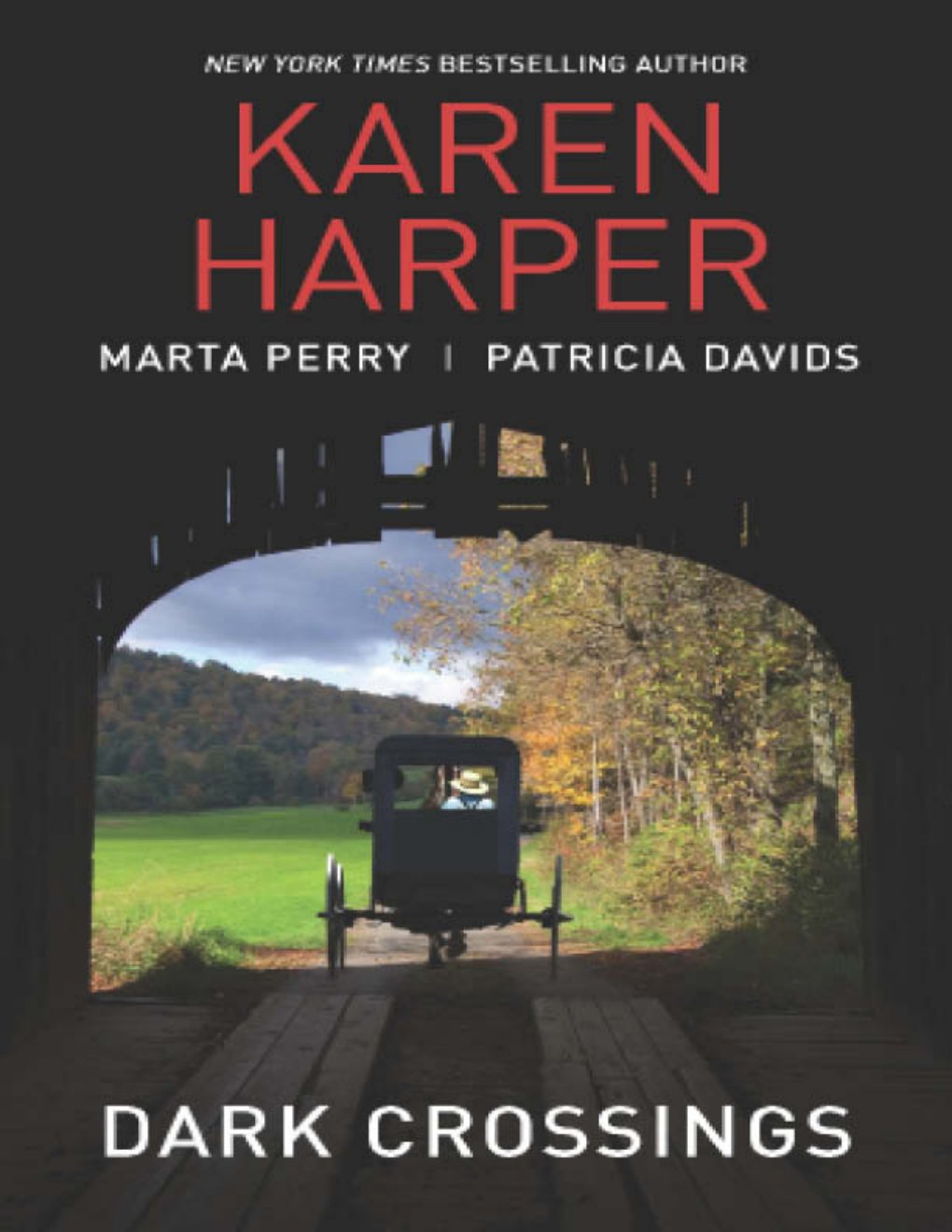 Cover of Dark Crossings