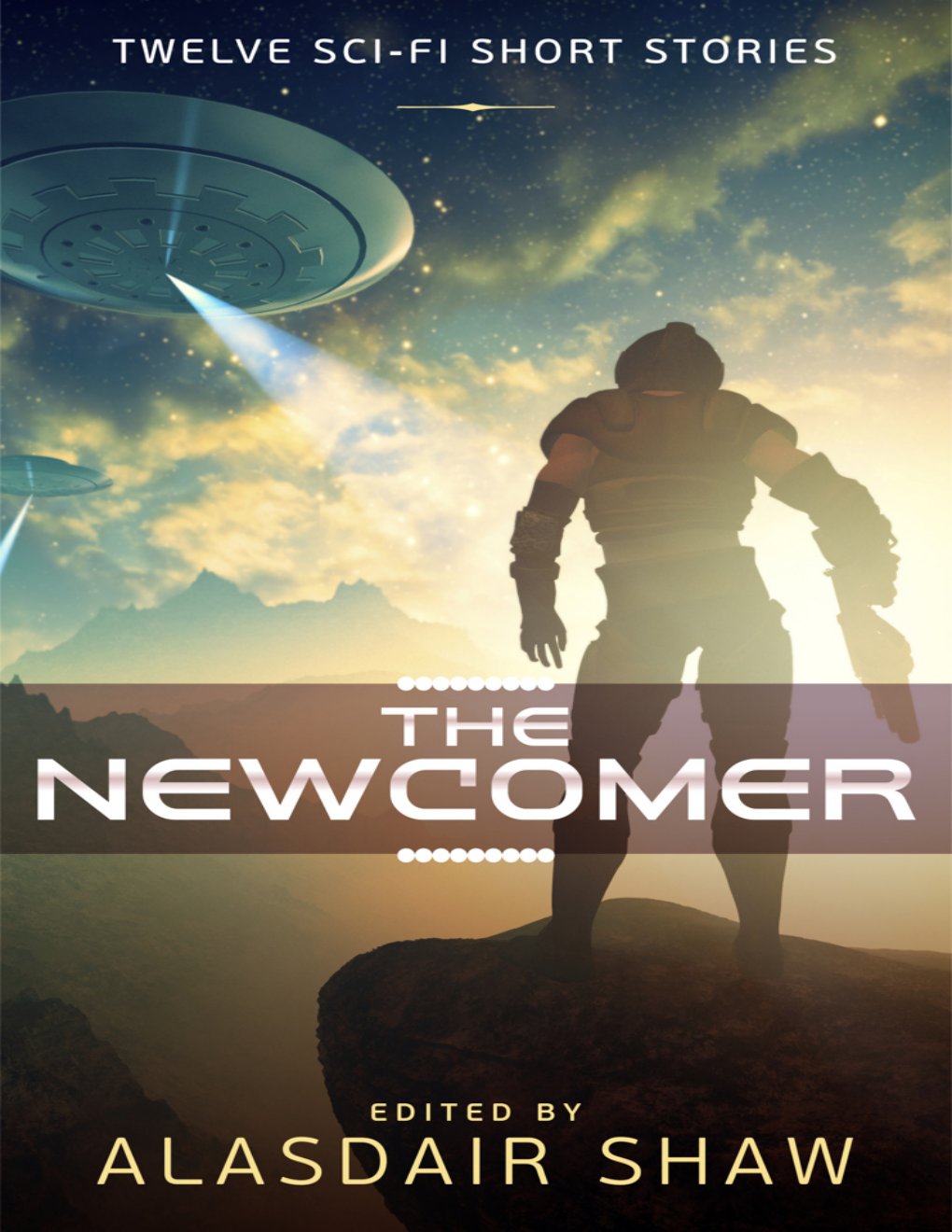 Cover of The Newcomer (2000)