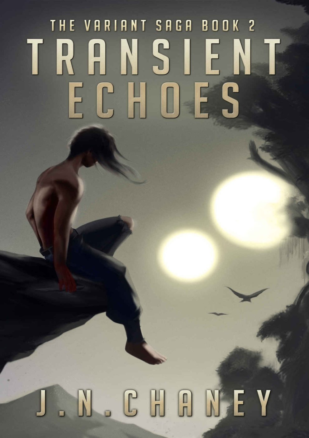 Cover of Transient Echoes