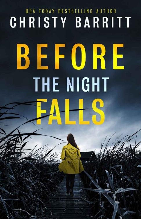 Cover of Before the Night Falls