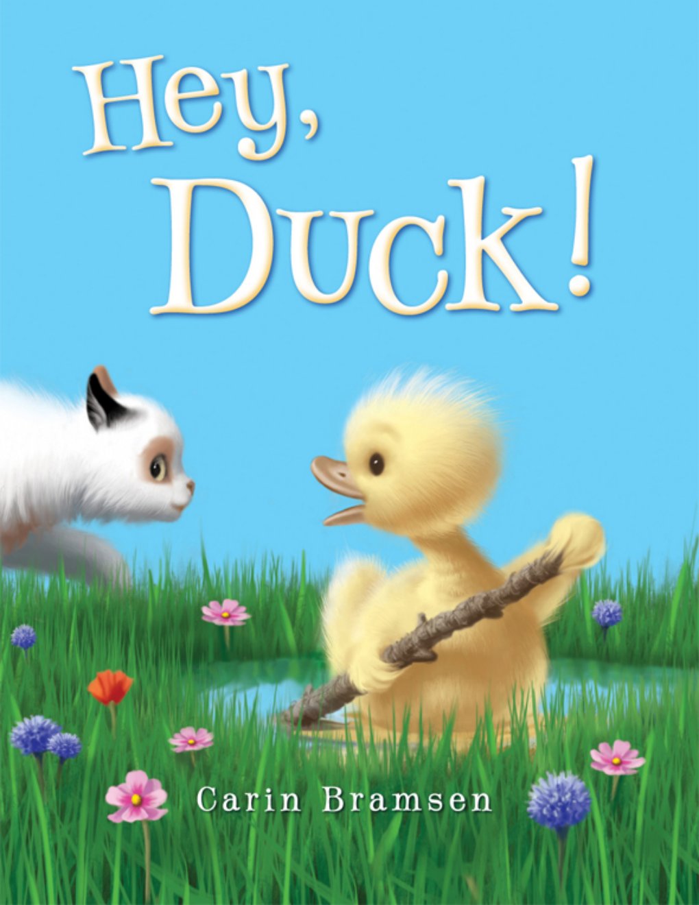Cover of Hey, Duck!