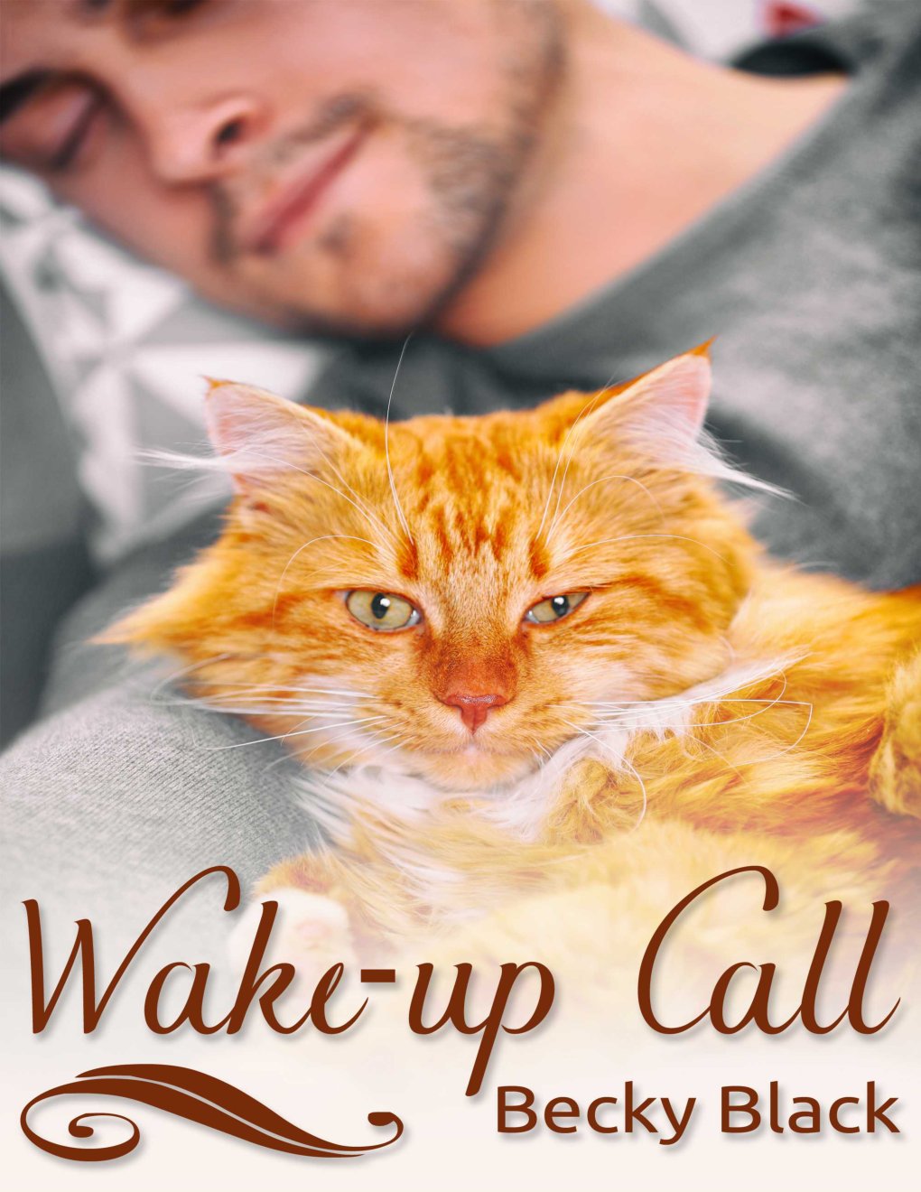 Cover of Wake-up Call (2017)