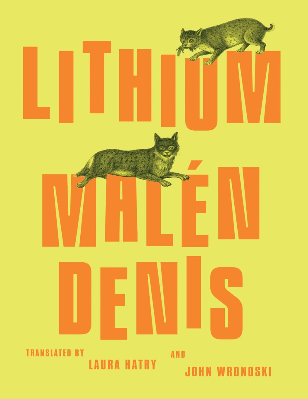 Cover of Lithium