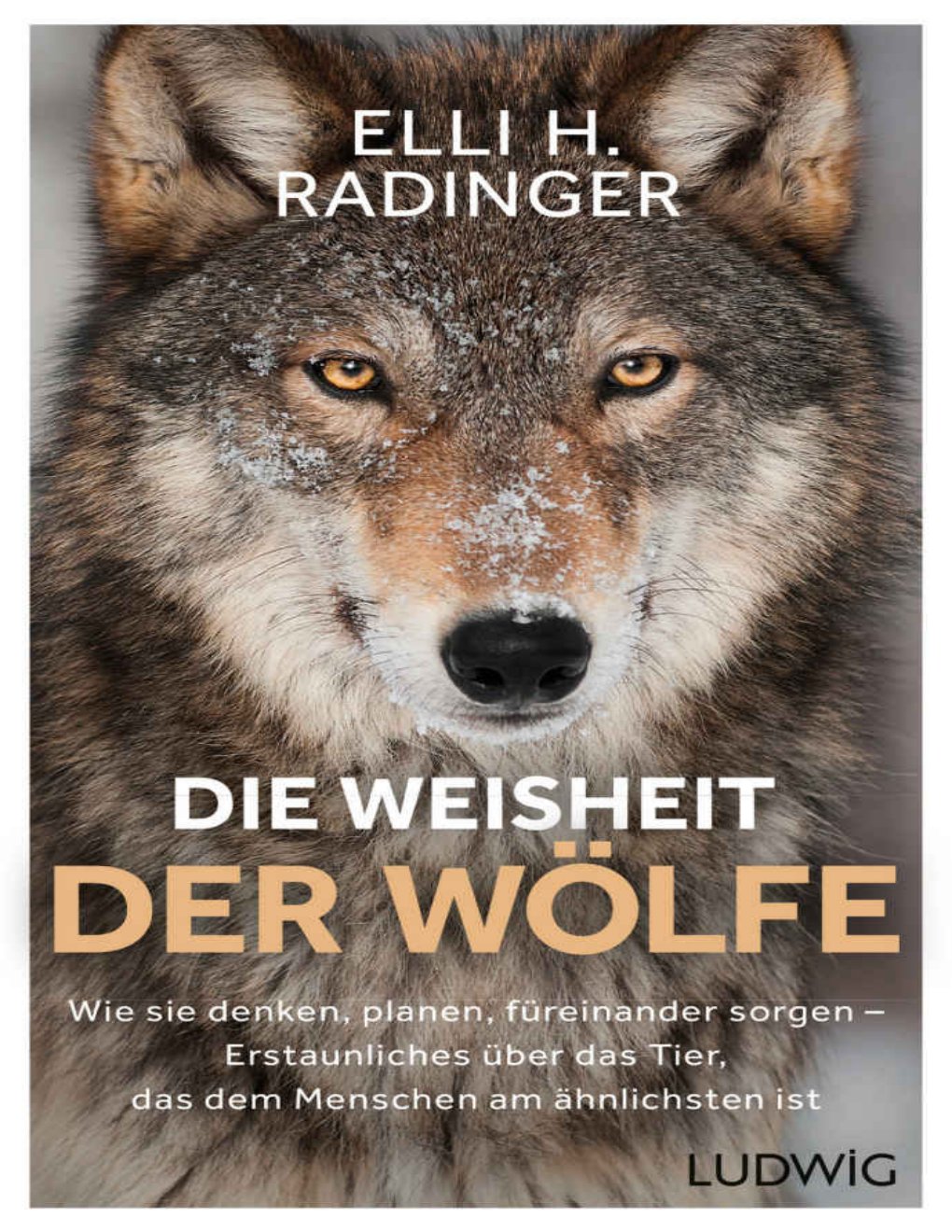 Cover of Die Weisheit der Wölfe · Wie sie denken, planen, füreinander sorgen. Erstaunliches über das Tier, das dem Menschen am ähnlichsten ist